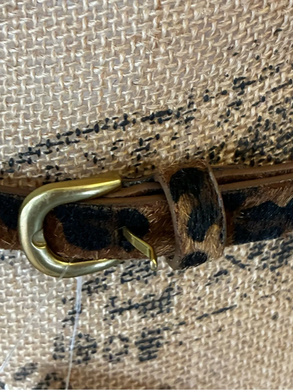 GAP Leopard Print Women's skinny belt Fall animal print calf hair gold buckle S